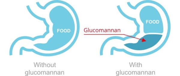 گلوکومانان پروزیس (glucomannan prozis)